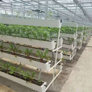 蔬菜水果大棚种植的新技术种植槽种植
